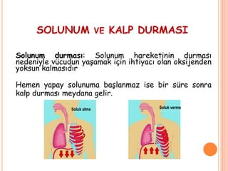 SOLUNUM VE KALP DURMASI
Solunum durması: Solunum hareketinin durması
nedeniyle vücudun yaşamak için ihtiyacı olan oksijenden
yoksun kalmasıdır
Hemen yapay solunuma başlanmaz ise bir süre sonra
kalp durması meydana gelir.
Soluk alma Soluk verme
 