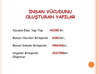 İNSAN VÜCUDUNU
OLUŞTURAN YAPILAR
Vücudun Esas Yapı Taşı HÜCRE’dir.
Benzer Hücreler Birleşerek DOKUları,
Benzer Dokular Birleşerek ORGANları,
Organlar Birleşerek SİSTEMleri
Oluşturur.
 