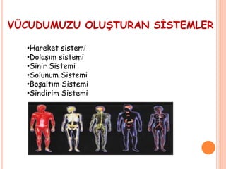VÜCUDUMUZU OLUŞTURAN SİSTEMLER
•Hareket sistemi
•Dolaşım sistemi
•Sinir Sistemi
•Solunum Sistemi
•Boşaltım Sistemi
•Sindirim Sistemi
 
