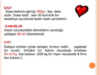 KAN
Dolaşım sistemi içinde dolaşan, kırmızı renkli yaşamsal
bir sıvıdır. Yetişkin bir kişinin vücudunda ortalama
80 ml/kg kan bulunur. (100 kg bir kişini vücudunda 8 litre
kan bulunur.)
KALP
İnsan kalbinin ağırlığı 450gr. ‘dan daha
azdır. İnsan kalbi, kanı 10 metrelik bir
mesafeye sıçratacak kadar baskı yaratabilir.
DAMARLAR
İnsan vücudundaki damarların uzunluğu
yaklaşık 96 bin kilometredir
 