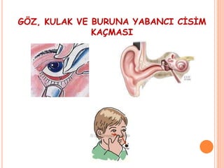 GÖZ, KULAK VE BURUNA YABANCI CİSİM
KAÇMASI
 