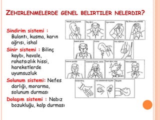 ZEHIRLENMELERDE GENEL BELIRTILER NELERDIR?
Sindirim sistemi :
Bulantı, kusma, karın
ağrısı, ishal
Sinir sistemi : Bilinç
kaybı, havale,
rahatsızlık hissi,
hareketlerde
uyumsuzluk
Solunum sistemi: Nefes
darlığı, morarma,
solunum durması
Dolaşım sistemi : Nabız
bozukluğu, kalp durması
 