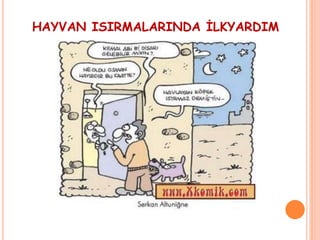 HAYVAN ISIRMALARINDA İLKYARDIM
 