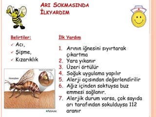 ARI SOKMASINDA
İLKYARDIM
Belirtiler:
 Acı,
 Şişme,
 Kızarıklık
İlk Yardım
1. Arının iğnesini sıyırtarak
çıkartma
2. Yara yıkanır
3. Üzeri örtülür
4. Soğuk uygulama yapılır
5. Alerji açısından değerlendirilir
6. Ağız içinden soktuysa buz
emmesi sağlanır.
7. Alerjik durum varsa, çok sayıda
arı tarafından sokulduysa 112
aranır
 