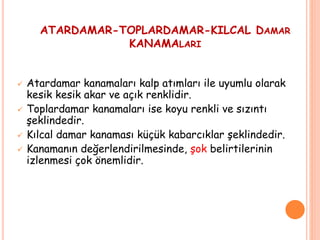 ATARDAMAR-TOPLARDAMAR-KILCAL DAMAR
KANAMALARI
 Atardamar kanamaları kalp atımları ile uyumlu olarak
kesik kesik akar ve açık renklidir.
 Toplardamar kanamaları ise koyu renkli ve sızıntı
şeklindedir.
 Kılcal damar kanaması küçük kabarcıklar şeklindedir.
 Kanamanın değerlendirilmesinde, şok belirtilerinin
izlenmesi çok önemlidir.
 