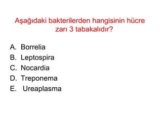 Aşağıdaki bakterilerden hangisinin hücre zarı 3 tabakalıdır?  Borrelia Leptospira Nocardia Treponema Ureaplasma 