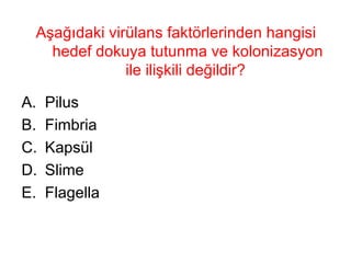Aşağıdaki virülans faktörlerinden hangisi hedef dokuya tutunma ve kolonizasyon ile ilişkili değildir?  Pilus Fimbria Kapsül Slime Flagella 