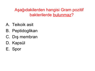Aşağıdakilerden hangisi Gram pozitif bakterilerde  bulunmaz ?  Teikoik asit Peptidoglikan Dış membran Kapsül Spor 