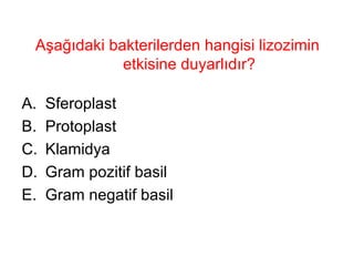 Aşağıdaki bakterilerden hangisi lizozimin etkisine duyarlıdır? Sferoplast Protoplast Klamidya Gram pozitif basil Gram negatif basil 
