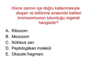 Hücre zarının içe doğru katlanmasıyla oluşan ve bölünme sırasında bakteri kromozomunun tutunduğu organel hangisidir? Ribozom  Mezozom  Nükleus zarı Peptidoglikan molekül Okazaki fragmanı 