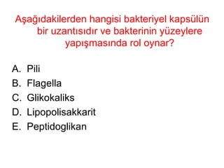 Aşağıdakilerden hangisi bakteriyel kapsülün bir uzantısıdır ve bakterinin yüzeylere yapışmasında rol oynar? Pili Flagella Glikokaliks Lipopolisakkarit Peptidoglikan 