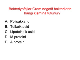 Bakteriyofajlar Gram negatif bakterilerin hangi kısmına tutunur?  Polisakkarid Teikoik asid Lipoteikoik asid M proteini A proteini 