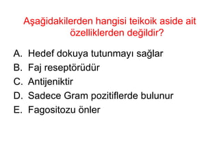 Aşağidakilerden hangisi teikoik aside ait özelliklerden değildir? Hedef dokuya tutunmayı sağlar Faj reseptörüdür Antijeniktir Sadece Gram pozitiflerde bulunur Fagositozu önler 