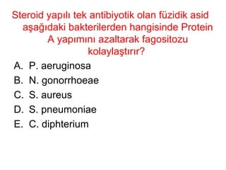 Steroid yapılı tek antibiyotik olan füzidik asid aşağıdaki bakterilerden hangisinde Protein A yapımını azaltarak fagositozu kolaylaştırır?  P. aeruginosa N. gonorrhoeae S. aureus S. pneumoniae C. diphterium 