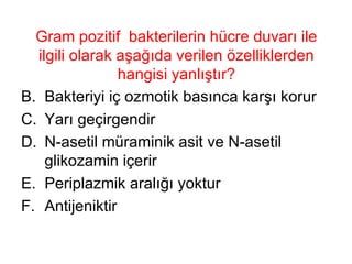 Gram pozitif  bakterilerin hücre duvarı ile ilgili olarak aşağıda verilen özelliklerden hangisi yanlıştır? Bakteriyi iç ozmotik basınca karşı korur Yarı geçirgendir N-asetil müraminik asit ve N-asetil glikozamin içerir Periplazmik aralığı yoktur Antijeniktir 