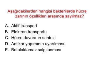 Aşağıdakilerden hangisi bakterilerde hücre zarının özellikleri arasında sayılmaz?  Aktif transport Elektron transportu Hücre duvarının sentezi Antikor yapımının uyarılması Betalaktamaz salgılanması 