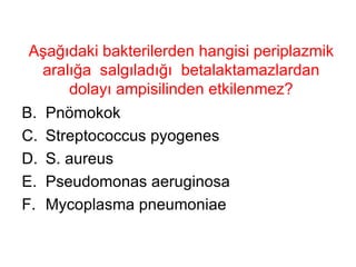 Aşağıdaki bakterilerden hangisi periplazmik aralığa  salgıladığı  betalaktamazlardan dolayı ampisilinden etkilenmez? Pnömokok Streptococcus pyogenes S. aureus Pseudomonas aeruginosa Mycoplasma pneumoniae 