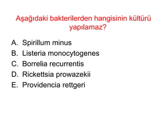 Aşağıdaki bakterilerden hangisinin kültürü yapılamaz?  Spirillum minus Listeria monocytogenes Borrelia recurrentis Rickettsia prowazekii Providencia rettgeri 