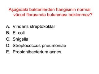 Aşağıdaki bakterilerden hangisinin normal vücud florasında bulunması beklenmez? Viridans streptokoklar E. coli Shigella Streptococcus pneumoniae Propionibacterium acnes 