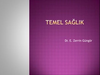 Dr. E. Zerrin Güngör
 