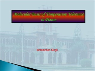 Molecular Basis of Temperature Tolerance
               in Plants




             Indramohan Singh.
 