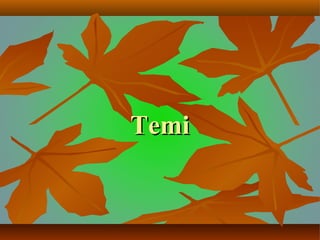 TemiTemi
 