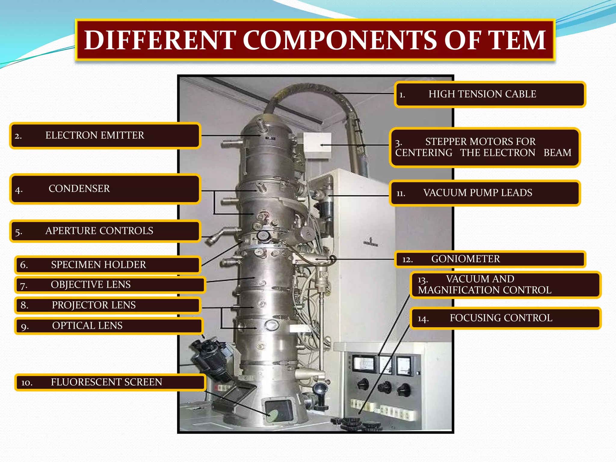 transmission electron microscopy | PPTX