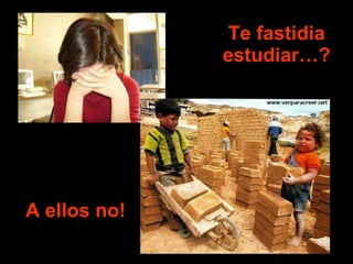 Te fastidia estudiar…? A ellos no! 