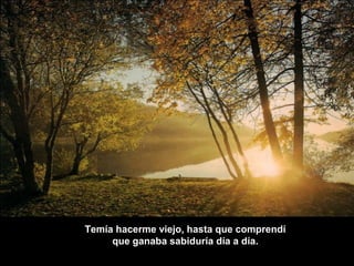 Temía hacerme viejo, hasta que comprendí
     que ganaba sabiduría día a día.
 