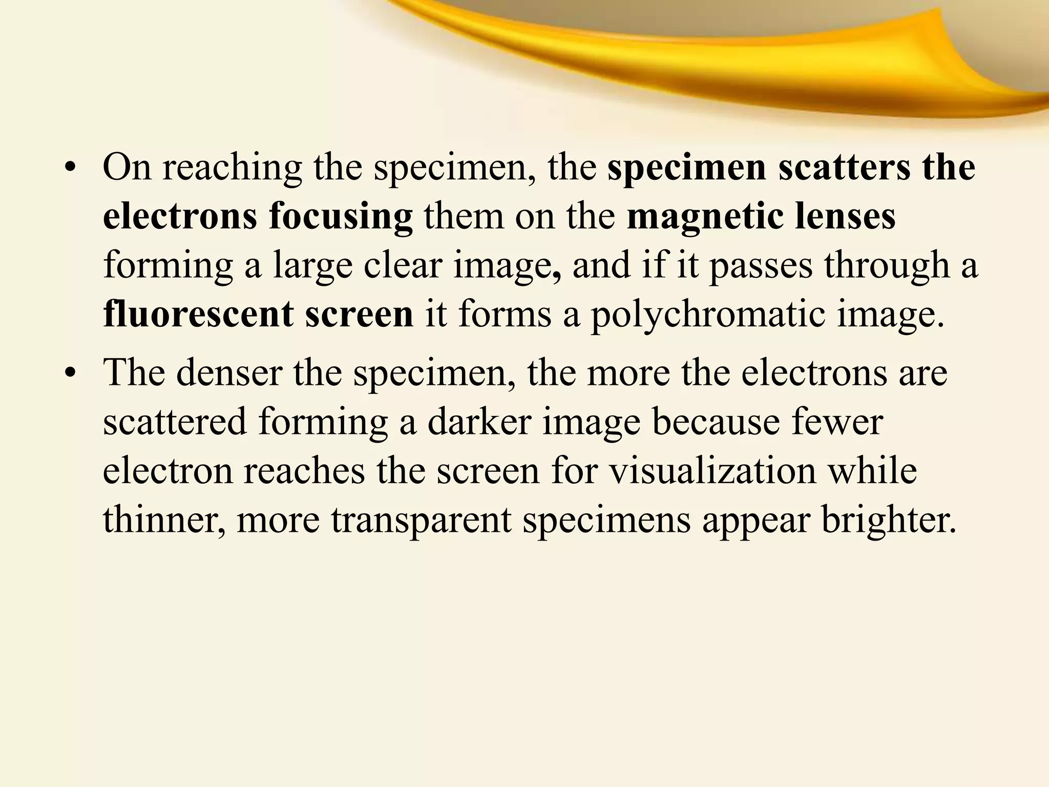 • On reaching the specimen, the specimen scatters the
electrons focusing them on the magnetic lenses
forming a large clear image, and if it passes through a
fluorescent screen it forms a polychromatic image.
• The denser the specimen, the more the electrons are
scattered forming a darker image because fewer
electron reaches the screen for visualization while
thinner, more transparent specimens appear brighter.
 