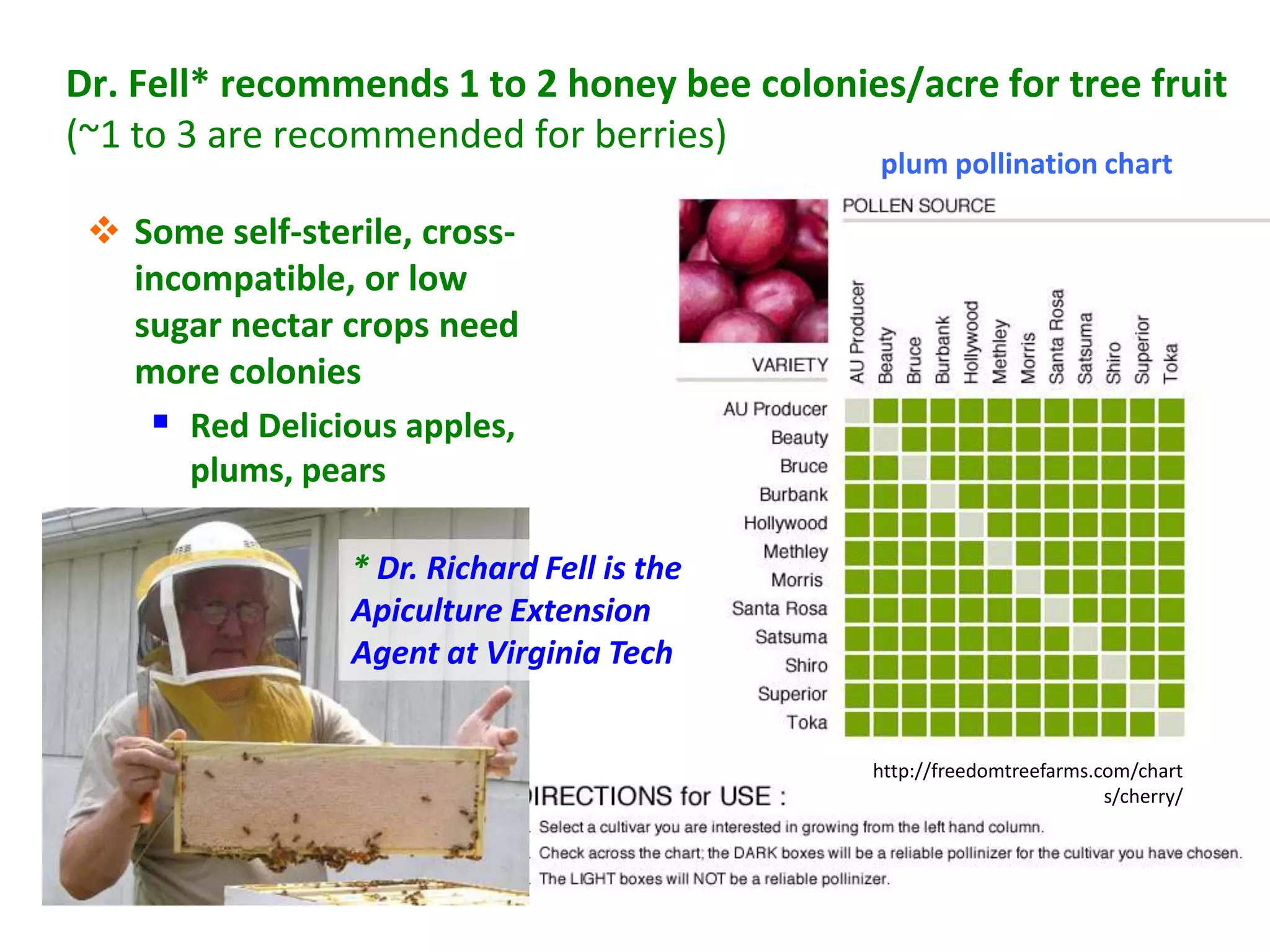 Dr. Fell* recommends 1 to 2 honey bee colonies/acre for tree fruit
(~1 to 3 are recommended for berries)
                                              plum pollination chart

  Some self-sterile, cross-
   incompatible, or low
   sugar nectar crops need
   more colonies
     Red Delicious apples,
      plums, pears

                 * Dr. Richard Fell is the
                 Apiculture Extension
                 Agent at Virginia Tech


                                             http://freedomtreefarms.com/chart
                                                                      s/cherry/
 