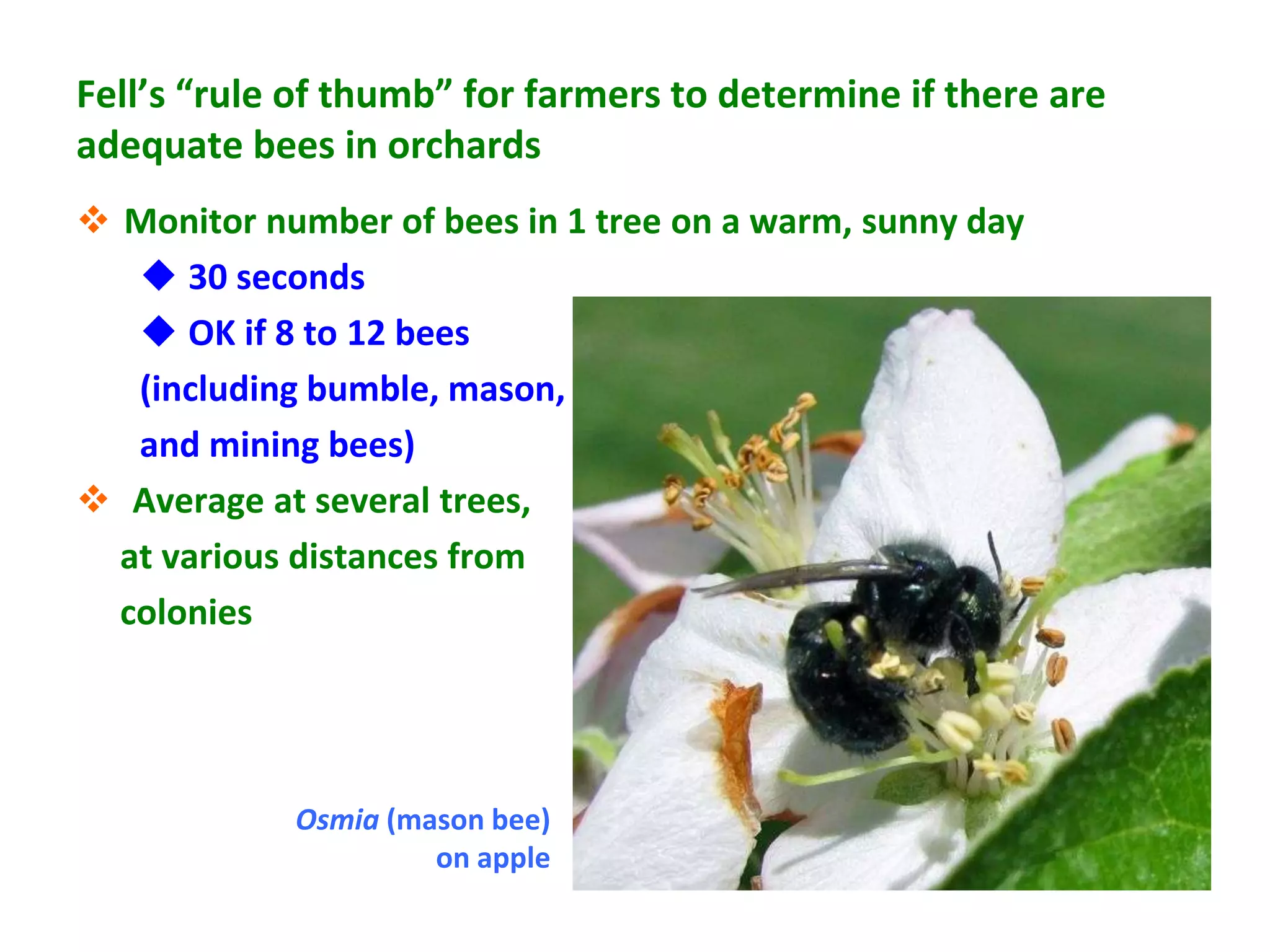 Fell’s “rule of thumb” for farmers to determine if there are
adequate bees in orchards
 Monitor number of bees in 1 tree on a warm, sunny day
    30 seconds
    OK if 8 to 12 bees
   (including bumble, mason,
   and mining bees)
 Average at several trees,
  at various distances from
  colonies




            Osmia (mason bee)
                     on apple
 