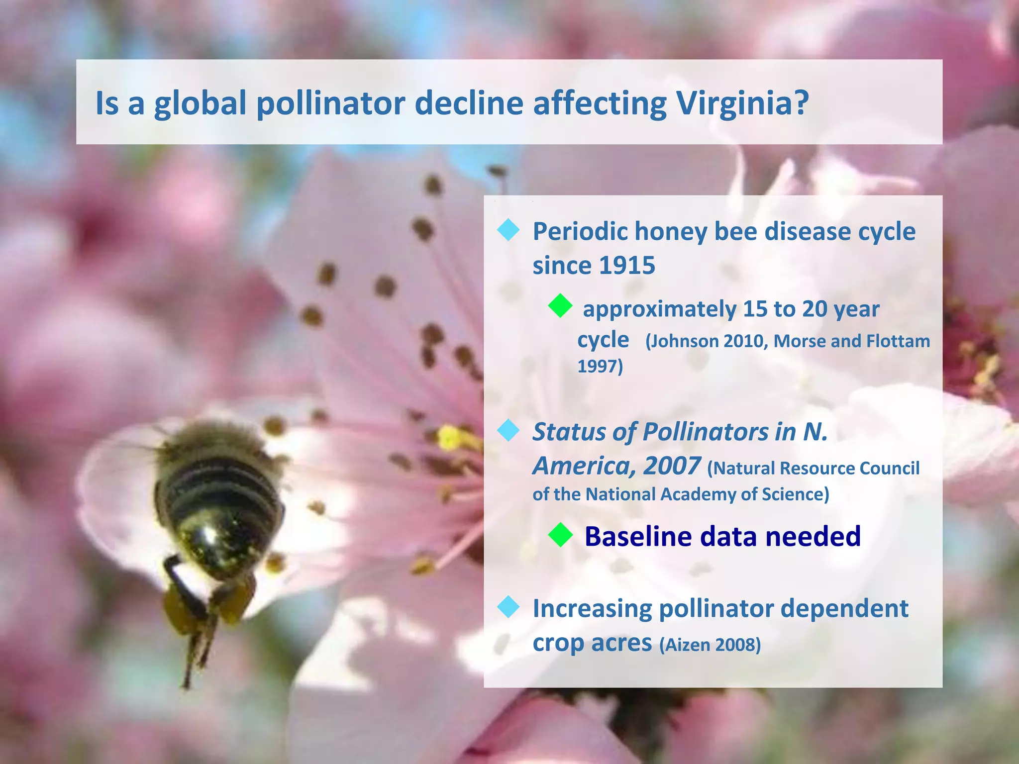 Is a global pollinator decline affecting Virginia?

                              1




                            Periodic honey bee disease cycle
                             since 1915
                                    approximately 15 to 20 year
                                     cycle   (Johnson 2010, Morse and Flottam
                                     1997)


                            Status of Pollinators in N.
                             America, 2007 (Natural Resource Council
                               of the National Academy of Science)

                                    Baseline data needed

                            Increasing pollinator dependent
                             crop acres (Aizen 2008)
 
