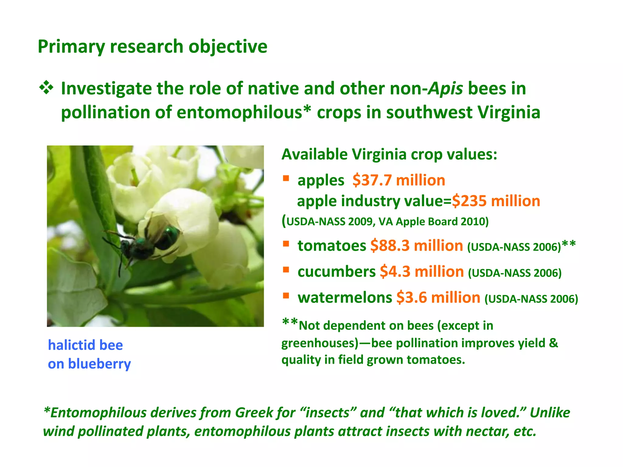 Primary research objective

 Investigate the role of native and other non-Apis bees in
  pollination of entomophilous* crops in southwest Virginia

                                    Available Virginia crop values:
                                     apples $37.7 million
                                      apple industry value=$235 million
                                    (USDA-NASS 2009, VA Apple Board 2010)
                                     tomatoes $88.3 million (USDA-NASS 2006)**
                                     cucumbers $4.3 million (USDA-NASS 2006)
                                     watermelons $3.6 million (USDA-NASS 2006)
                                    **Not dependent on bees (except in
 halictid bee                       greenhouses)—bee pollination improves yield &
 on blueberry                       quality in field grown tomatoes.


*Entomophilous derives from Greek for “insects” and “that which is loved.” Unlike
wind pollinated plants, entomophilous plants attract insects with nectar, etc.
 