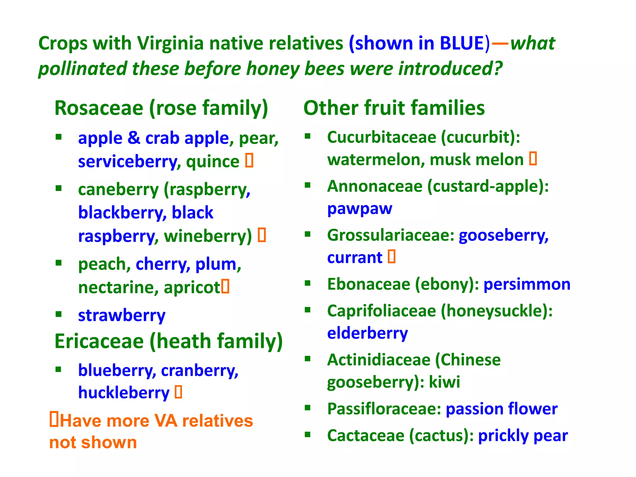 Crops with Virginia native relatives (shown in BLUE)—what
pollinated these before honey bees were introduced?
 Rosaceae (rose family)        Other fruit families
  apple & crab apple, pear,    Cucurbitaceae (cucurbit):
   serviceberry, quince         watermelon, musk melon 
  caneberry (raspberry,        Annonaceae (custard-apple):
   blackberry, black             pawpaw
   raspberry, wineberry)       Grossulariaceae: gooseberry,
  peach, cherry, plum,          currant 
   nectarine, apricot          Ebonaceae (ebony): persimmon
  strawberry                   Caprifoliaceae (honeysuckle):
                                 elderberry
 Ericaceae (heath family)
                                Actinidiaceae (Chinese
  blueberry, cranberry,
                                 gooseberry): kiwi
   huckleberry 
                                Passifloraceae: passion flower
 Have more VA relatives
 not shown                      Cactaceae (cactus): prickly pear
 