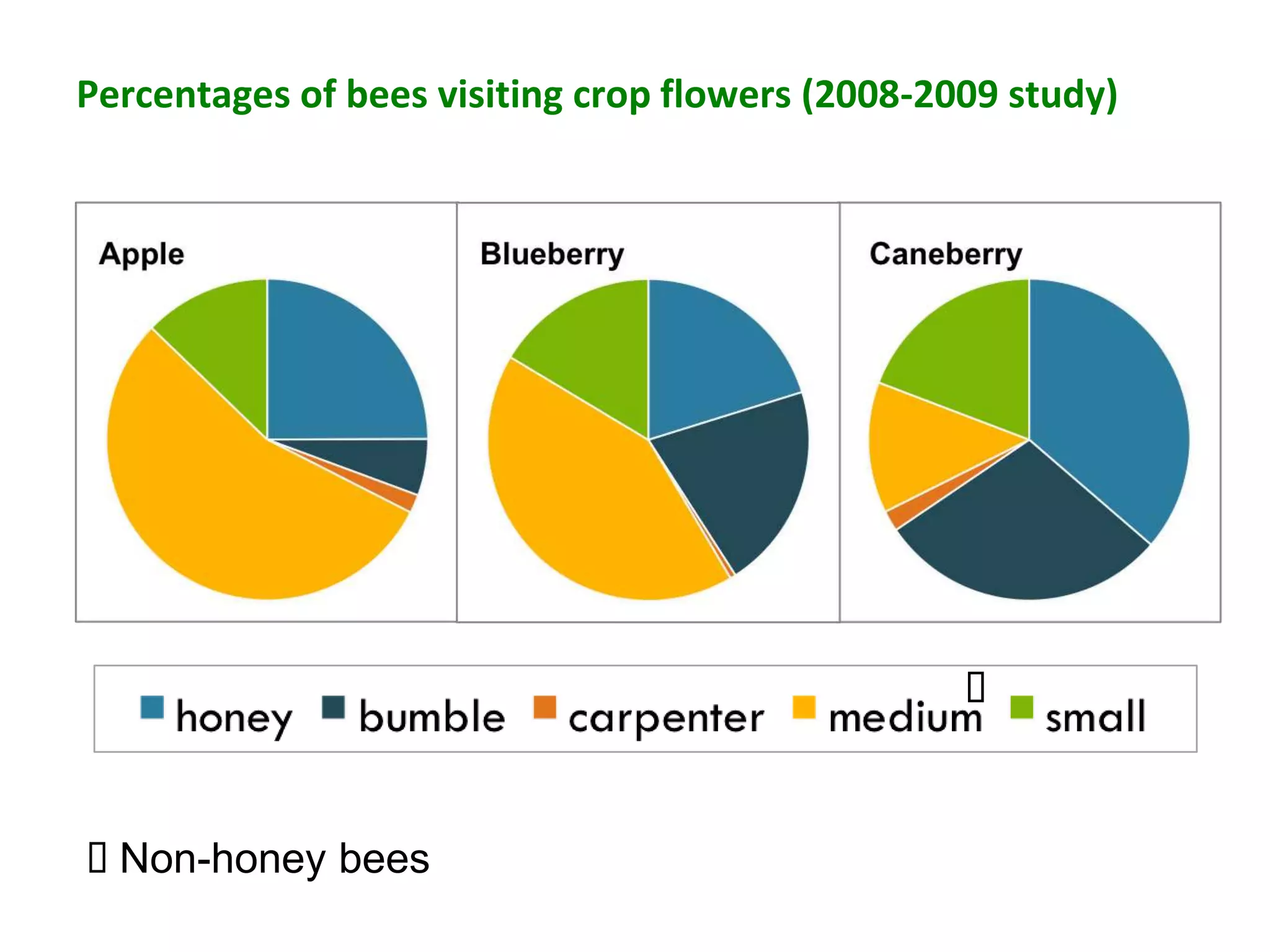 Percentages of bees visiting crop flowers (2008-2009 study)




                                                  



Non-honey bees
 