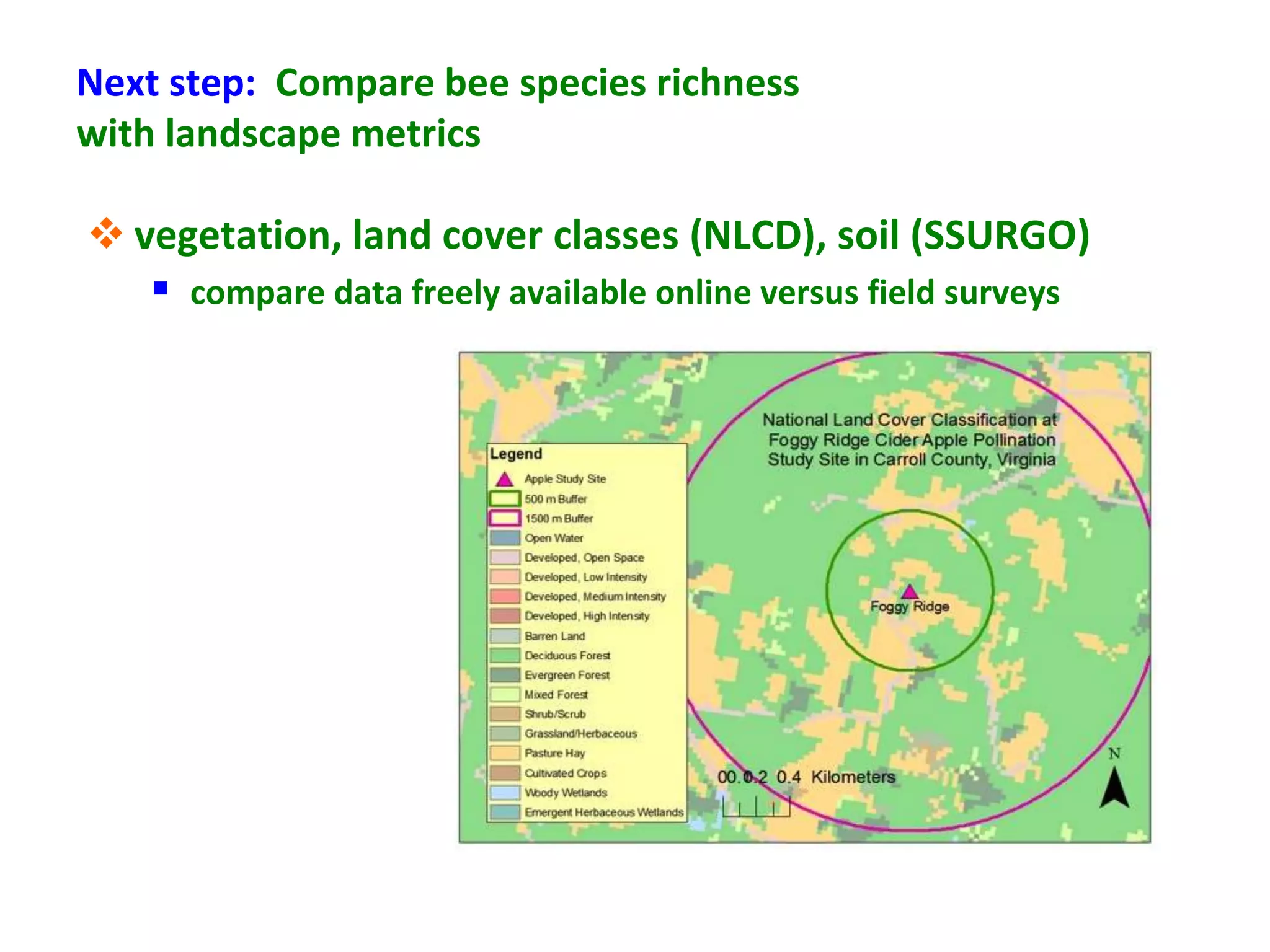Next step: Compare bee species richness
with landscape metrics

 vegetation, land cover classes (NLCD), soil (SSURGO)
    compare data freely available online versus field surveys
 