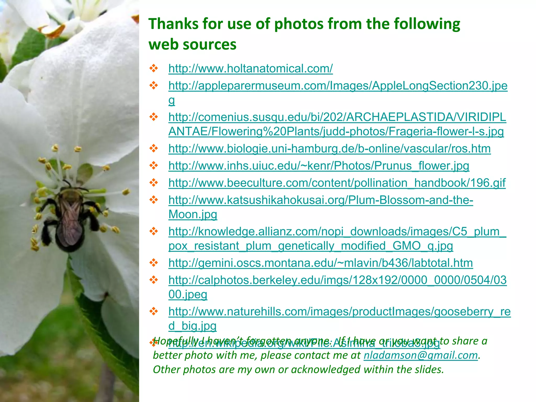 Thanks for use of photos from the following
web sources
 http://www.holtanatomical.com/
 http://appleparermuseum.com/Images/AppleLongSection230.jpe
   g
 http://comenius.susqu.edu/bi/202/ARCHAEPLASTIDA/VIRIDIPL
   ANTAE/Flowering%20Plants/judd-photos/Frageria-flower-l-s.jpg
 http://www.biologie.uni-hamburg.de/b-online/vascular/ros.htm
 http://www.inhs.uiuc.edu/~kenr/Photos/Prunus_flower.jpg
 http://www.beeculture.com/content/pollination_handbook/196.gif
 http://www.katsushikahokusai.org/Plum-Blossom-and-the-
   Moon.jpg
 http://knowledge.allianz.com/nopi_downloads/images/C5_plum_
   pox_resistant_plum_genetically_modified_GMO_q.jpg
 http://gemini.oscs.montana.edu/~mlavin/b436/labtotal.htm
 http://calphotos.berkeley.edu/imgs/128x192/0000_0000/0504/03
   00.jpeg
 http://www.naturehills.com/images/productImages/gooseberry_re
   d_big.jpg
 http://en.wikipedia.org/wiki/File:Asimina_triloba3.jpgto share a
Hopefully I haven’t forgotten anyone. If I have or you want
better photo with me, please contact me at nladamson@gmail.com.
Other photos are my own or acknowledged within the slides.
 