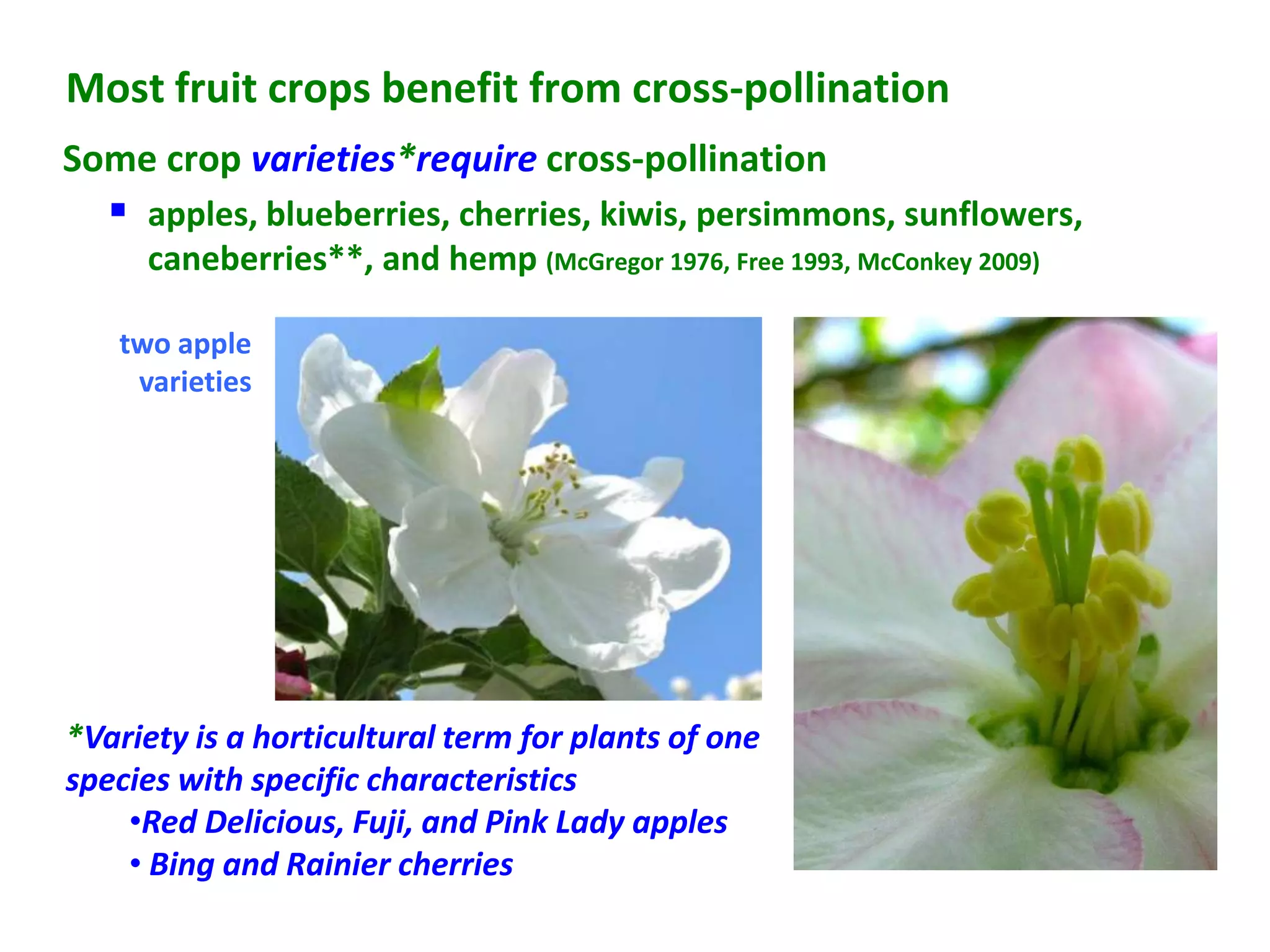 Most fruit crops benefit from cross-pollination
Some crop varieties*require cross-pollination
    apples, blueberries, cherries, kiwis, persimmons, sunflowers,
     caneberries**, and hemp (McGregor 1976, Free 1993, McConkey 2009)

   two apple
    varieties




*Variety is a horticultural term for plants of one
species with specific characteristics
    •Red Delicious, Fuji, and Pink Lady apples
    • Bing and Rainier cherries
 