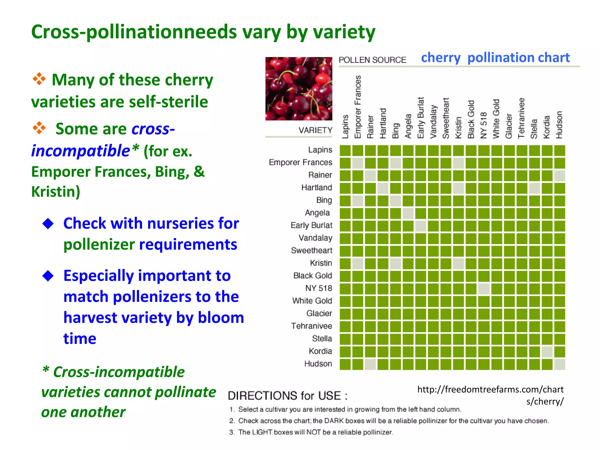 Cross-pollinationneeds vary by variety
                                         cherry pollination chart
 Many of these cherry
varieties are self-sterile
 Some are cross-
incompatible* (for ex.
Emporer Frances, Bing, &
Kristin)
    Check with nurseries for
     pollenizer requirements
    Especially important to
     match pollenizers to the
     harvest variety by bloom
     time
 * Cross-incompatible
 varieties cannot pollinate              http://freedomtreefarms.com/chart
                                                                  s/cherry/
 one another
 