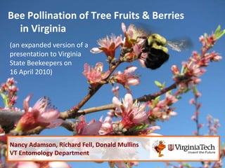 Bee Pollination of Tree Fruits & Berries
  in Virginia
(an expanded version of a
presentation to Virginia
State Beekeepers on
16 April 2010)




Nancy Adamson, Richard Fell, Donald Mullins
VT Entomology Department
 