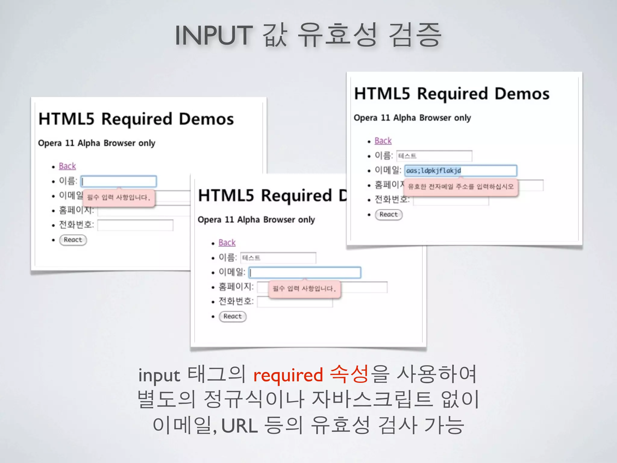 INPUT




input       required

        , URL
 