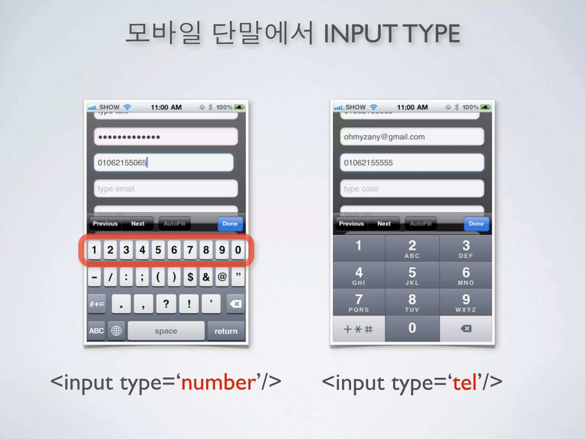 INPUT TYPE




<input type=‘number’/>   <input type=‘tel’/>
 