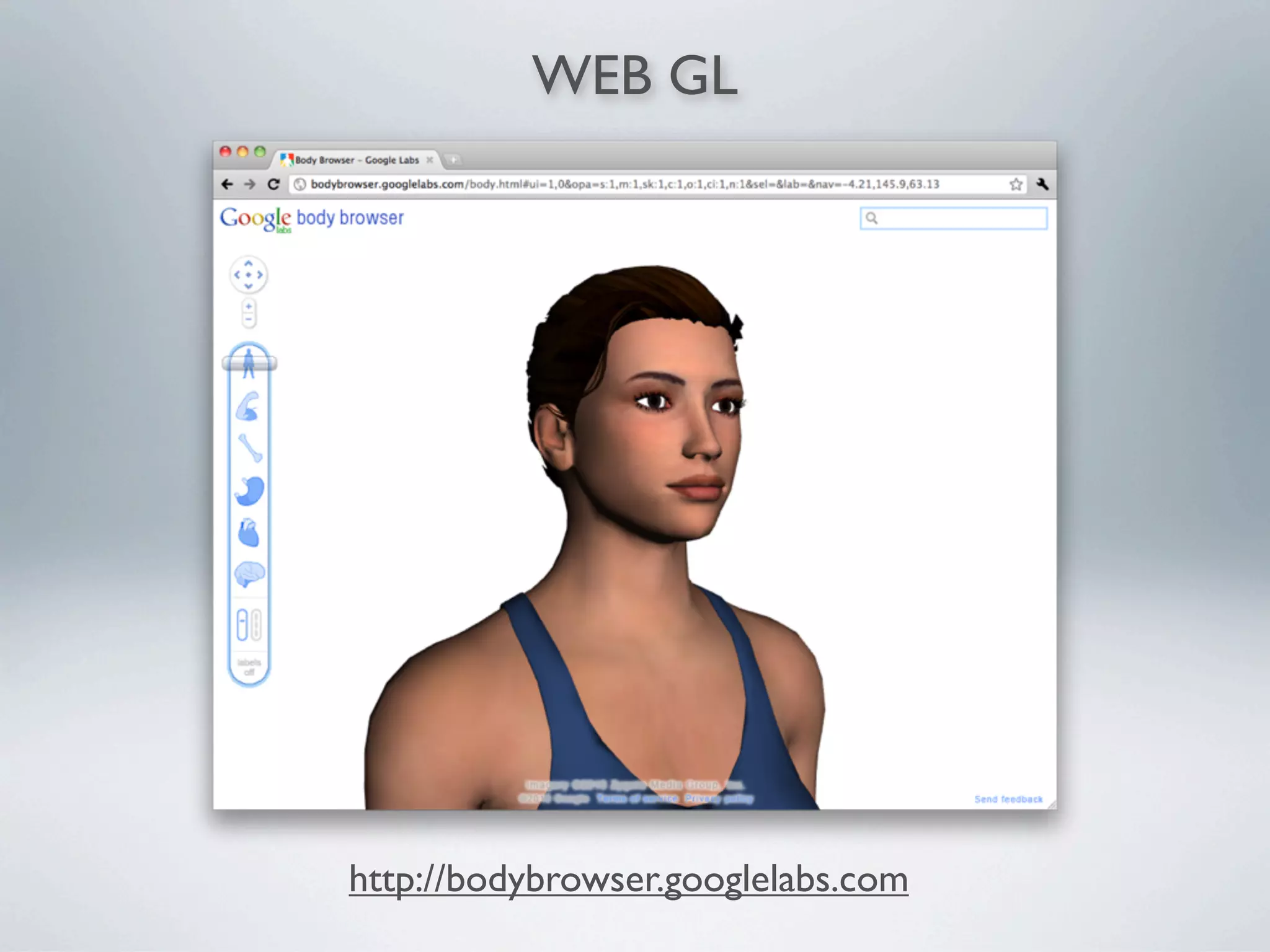 WEB GL




http://bodybrowser.googlelabs.com
 