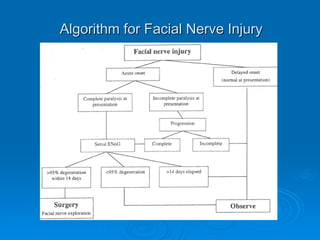 Algorithm for Facial Nerve Injury
Algorithm for Facial Nerve Injury
 