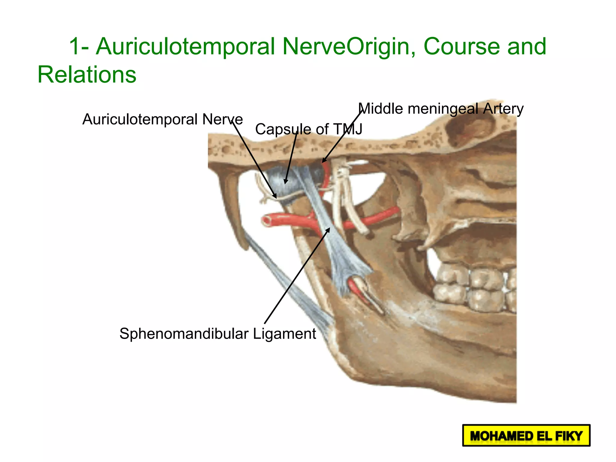 Auriculotemporal Nerve
Middle meningeal Artery
Sphenomandibular Ligament
Capsule of TMJ
1- Auriculotemporal NerveOrigin, Course and
Relations
 