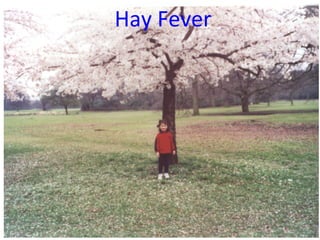 Hay	Fever	
 