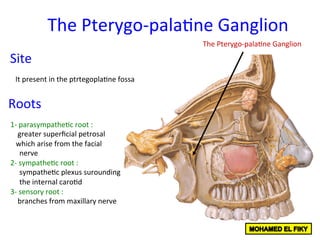 The	Pterygo-pala<ne	Ganglion	
Site	
It	present	in	the	ptrtegopla<ne	fossa		
The	Pterygo-pala<ne	Ganglion	
Roots		
1-	parasympathe<c	root	:	
				greater	superﬁcial	petrosal	
			which	arise	from	the	facial	
					nerve		
2-	sympathe<c	root	:		
					sympathe<c	plexus	surounding	
					the	internal	caro<d	
3-	sensory	root	:	
				branches	from	maxillary	nerve			
 