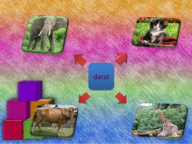 630 Koleksi Gambar Gambar Hewan Dan Tempat Hidupnya Gratis Terbaru