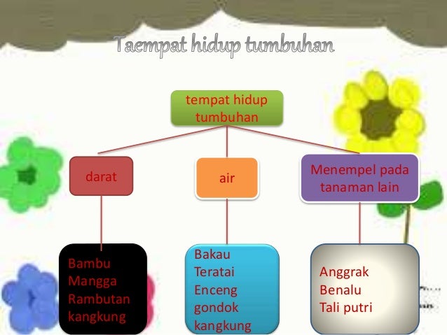 630 Koleksi Gambar Gambar Hewan Dan Tempat Hidupnya Gratis Terbaru